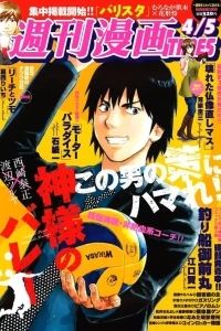 Issue #3084