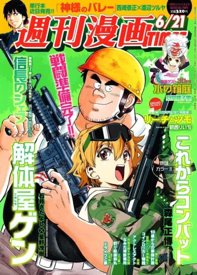 Cover of Volume #3095
