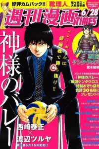 Issue #3096