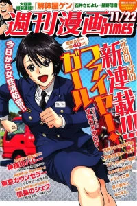Issue #3117