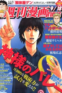 Issue #3206