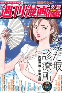 Issue #3256