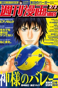 Issue #3274