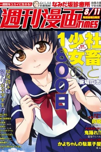 Issue #3300