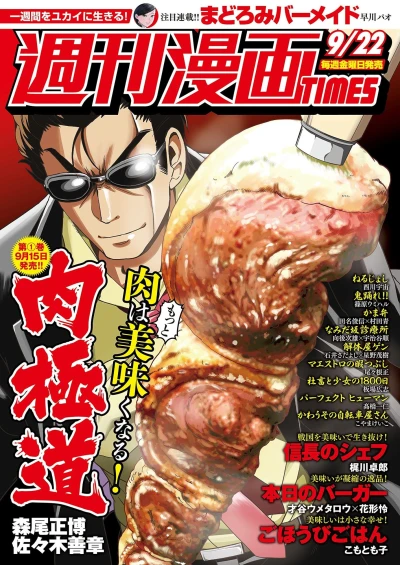 Cover of Volume #3305
