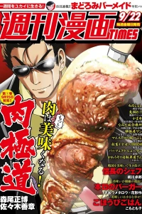 Issue #3305