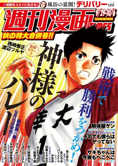 Cover of Volume #3306