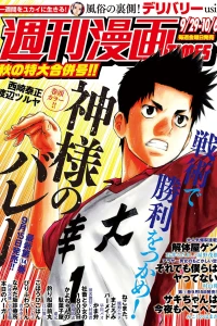 Issue #3306
