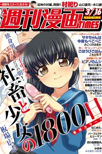 Issue #3328