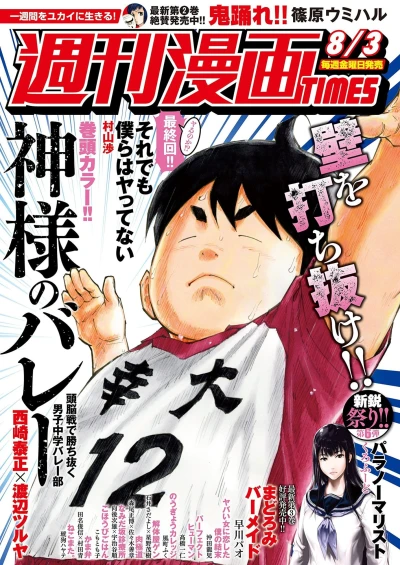 Cover of Volume #3346