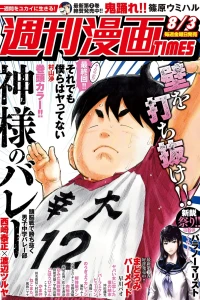 Issue #3346