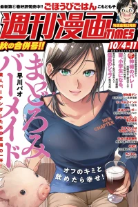 Issue #3401