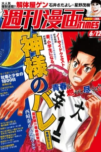Issue #3432