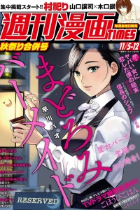 Issue #3493