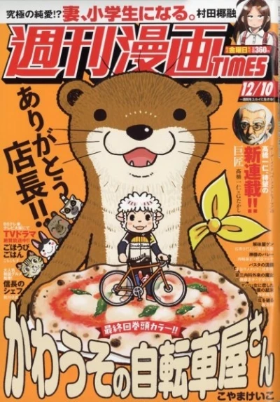 Cover of Volume #3497