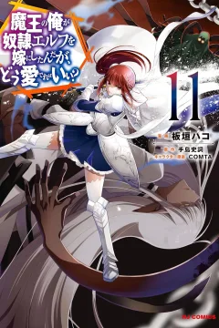 Volume 11