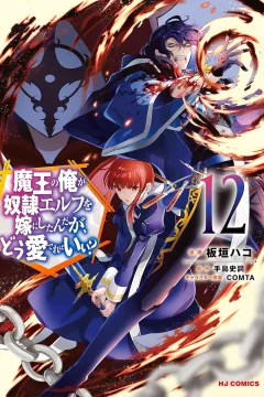 Volume 12