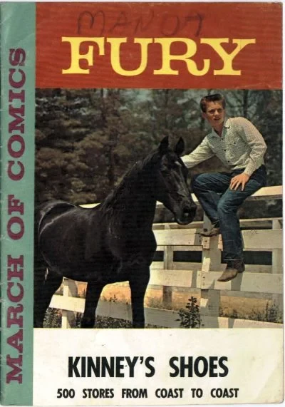 Cover of Fury : The Drought