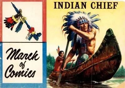 Cover of Indian Chief : The Night Raider