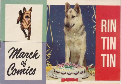 Cover of Rin Tin Tin