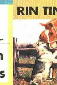 Rin Tin Tin : The Spanish Grandee