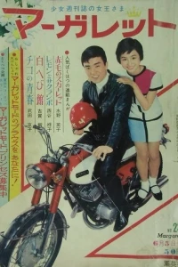 No. 23, 1966