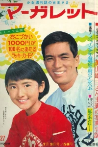 No. 27, 1966