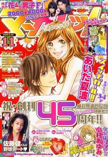 Cover of No. 11, 2008