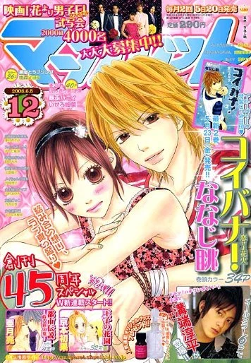 Cover of No. 12, 2008