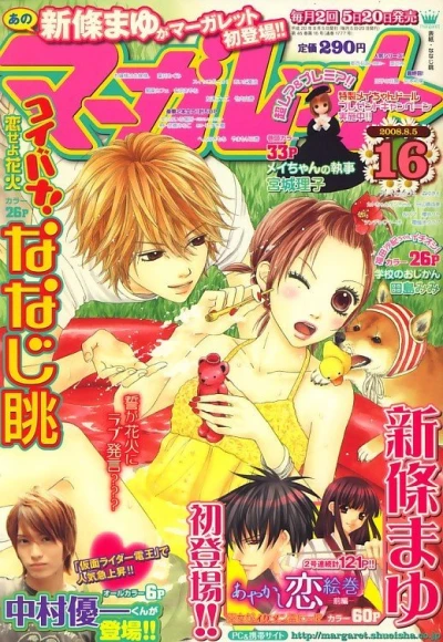 Cover of No. 16, 2008