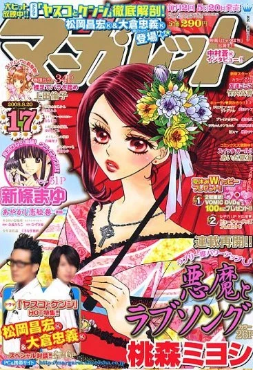 Cover of No. 17, 2008