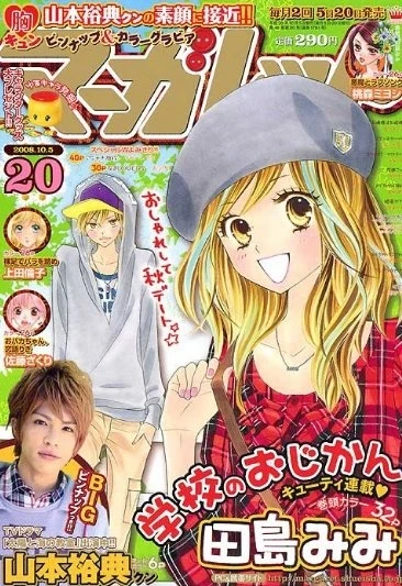 Cover of No. 20, 2008