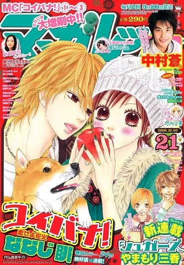 Cover of No. 21, 2008