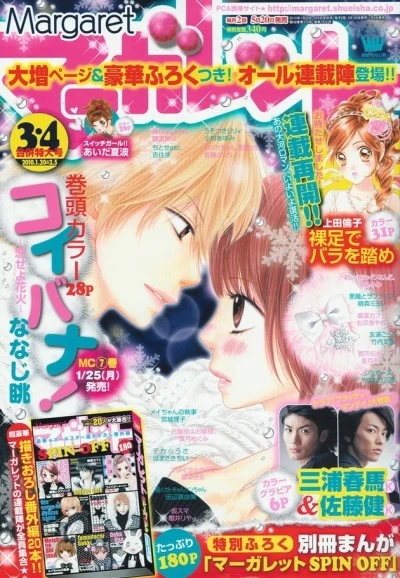 Cover of No. 3-4, 2010
