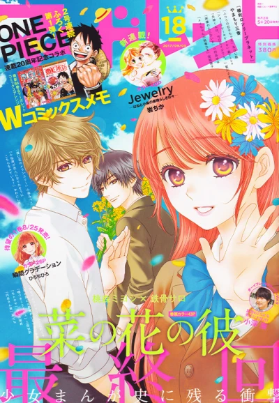 Cover of No. 18, 2017