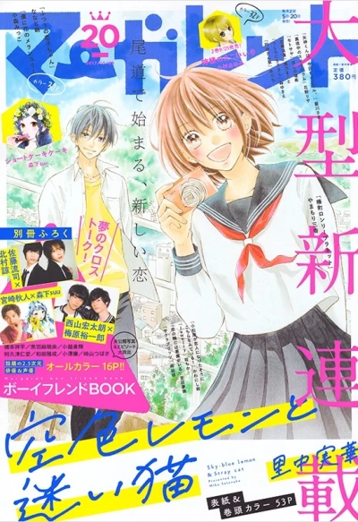 Cover of No. 20, 2017