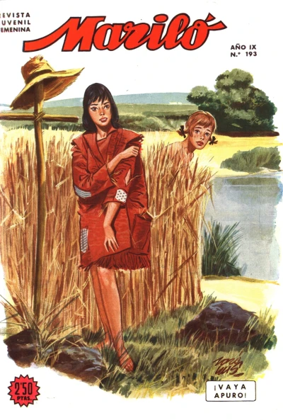 Cover of Issue #193