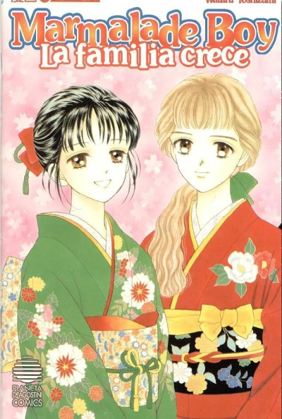 Cover of Issue #12
