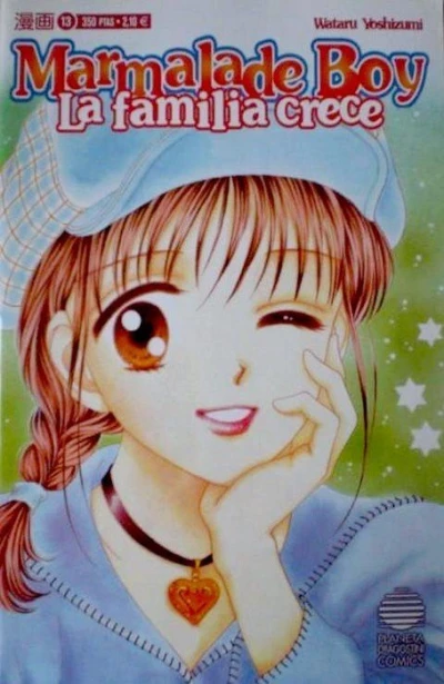 Cover of Issue #13