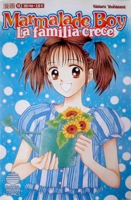 Cover of Issue #16
