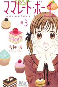 Vol. 3