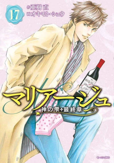 Cover of Marriage 17