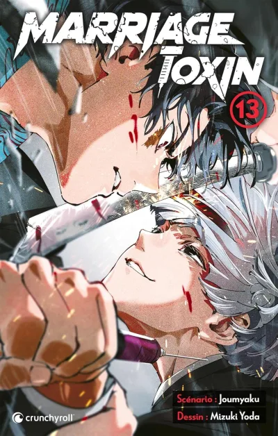Cover of Volume #13