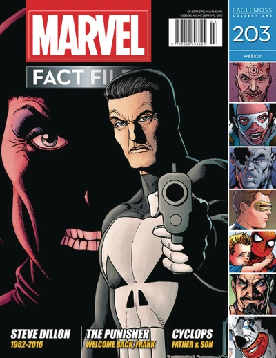 Cover of The Punisher