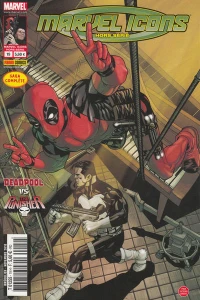 Deadpool vs Punisher