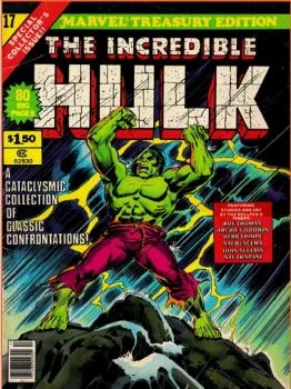 Cover of Issue #17