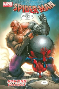 Marvel Universe Spider-Man: Amazing Fantasy