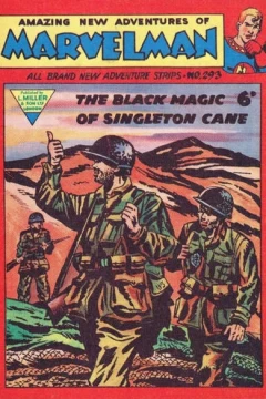 Issue #293