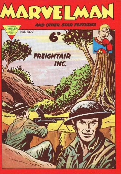 Cover of Issue #307