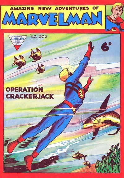 Cover of Issue #308
